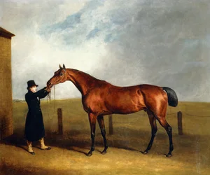Colonel Udny