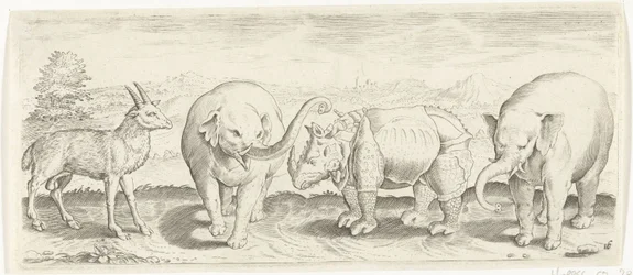 Gazelle, Elefant und Nashorn