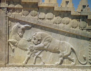 Löwe im Kampf mit einem Stier, Relief an der östlichen Treppe der Apadana, Achämenidenzeit, ca. 515