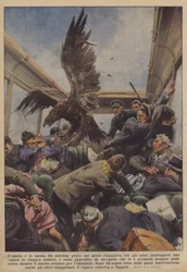 Der Adler und die Braut