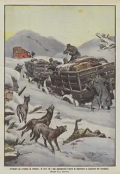 Unglücke in den Abruzzen, Schnee und Wölfe verhindern die Hilfeleistung für die Überlebenden des Erdbebens