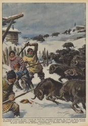 Ein von Ochsen belagertes Dorf