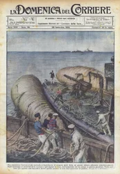Ein gigantisches Unterfangen wird in England versucht, die Bergung der deutschen Kriegsflotte...