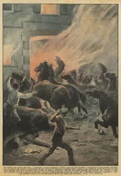Ein Massaker an Rennpferden