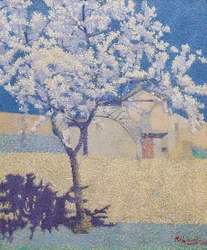 Der blühende Baum