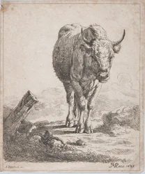 Eine Kuh, von vorne gesehen, 1805