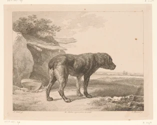 Stehender Hund in einer Landschaft