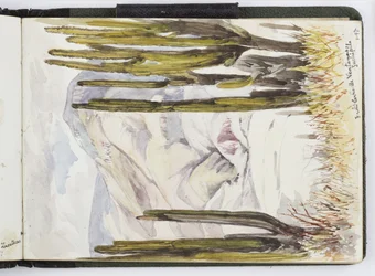 Skizzenbuch mit Aquarellen, Zeichnungen und Notizen, Mexiko, 1896-1898