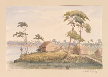 Sarawak aus Westindien, Nordamerika und Borneo-Sammelalbum
