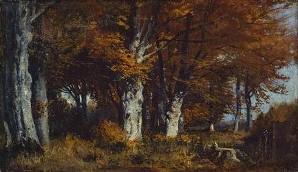 Buchenwald im Herbst