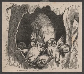 Eule mit Jungen, ca. 1890