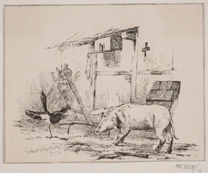 Der Schaden und das Schwein