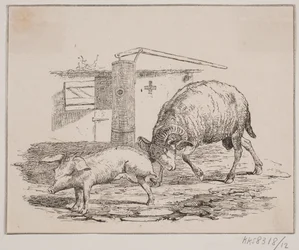 Der Widder und das Schwein