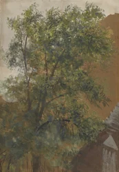 Blick aus dem Hoffenster seines Ateliers in der Marienstraße 22