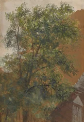 Blick aus dem Hoffenster seines Ateliers in der Marienstraße 22