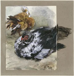 Zwei Türkische Enten. Aus dem „Kinderalbum“