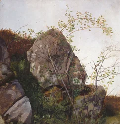 Blühende Heckenrose und Farne