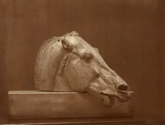 (Kopf eines Pferdes vom Giebel des Parthenon, British Museum)
