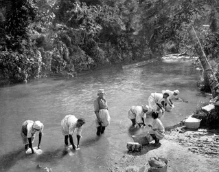 Frauen waschen Kleidung im Fluss, Port Antonio, Jamaika, um 1905