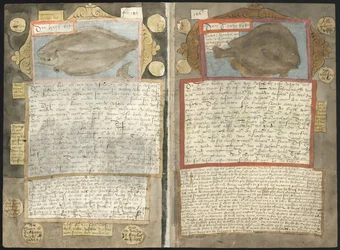 Adriaen Coenens Visboeck