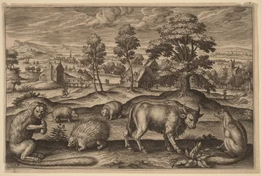Ein Affe, ein Stachelschwein, zwei Igel, ein Büffel und ein Fuchs