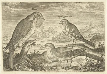 Drei Vögel in einer Landschaft
