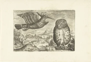 Einige Vögel in einer Landschaft