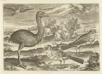 Enkele vogels in een landschap