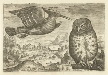 Einige Vögel in einer Landschaft