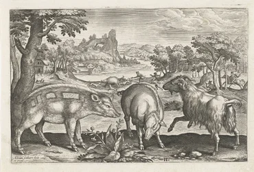 Ziege und Schweine