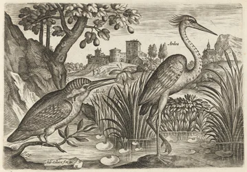 Eisvogel und Graureiher