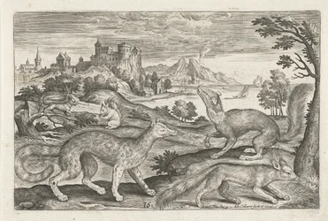 Marder, Eichhörnchen und ein Fuchs