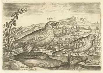 Zwei Vögel in einer Landschaft