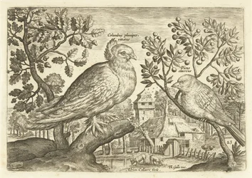 Zwei Vögel in einer Landschaft