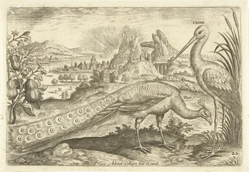 Zwei Vögel in einer Landschaft