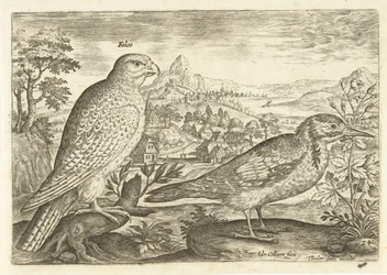 Zwei Vögel in einer Landschaft (Serie: Avivm Vivae, Vögel)