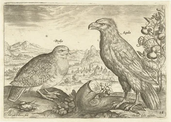 Zwei Vögel in einer Landschaft (Avivm Vivae) (Vögel)