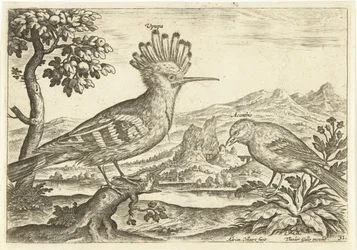 Zwei Vögel in einer Landschaft