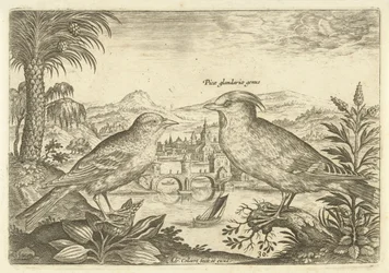Zwei Vögel in einer Landschaft
