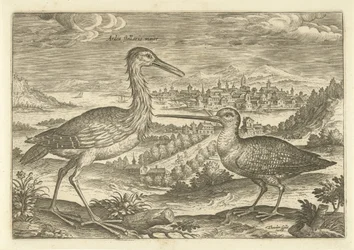 Zwei Vögel in einer Landschaft