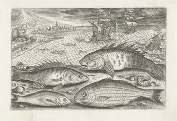 Vier Fische am Strand