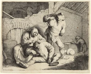 Die Entlauserin
