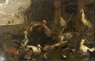 Hühner, Enten und ein Truthahn