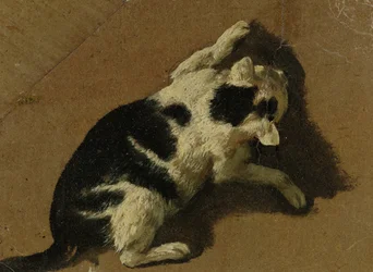 Katze beim Spielen