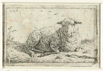 Liegendes Schaf