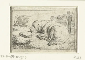 Schlafender Hund