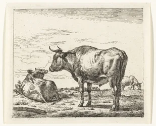 Stehender Stier