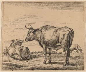 Stehender Stier