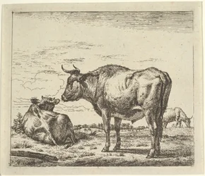 Stehender Stier, aus Verschiedene Tiere