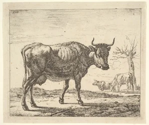 Drei Kühe, aus Verschiedene Tiere